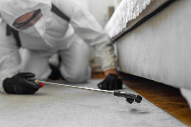 Professional Termite Control technician working in Randallstown, MD