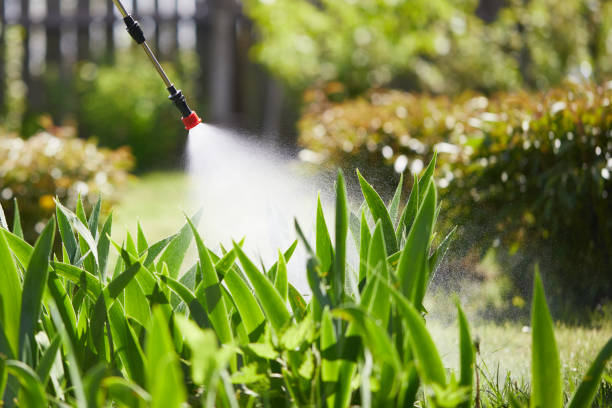 24/7 Emergency Termite Control experts in Randallstown, MD