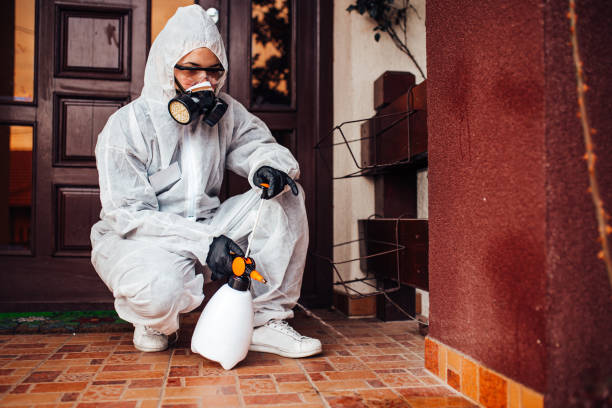 Reliable Termite Control contractor in Randallstown, MD by Nex Pest Control